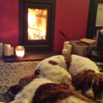 “Dogs love the warmth”