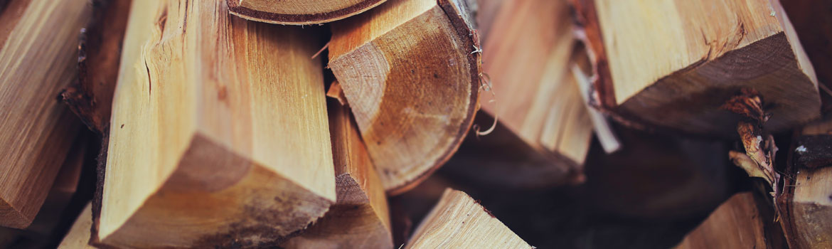 How to identify good firewood